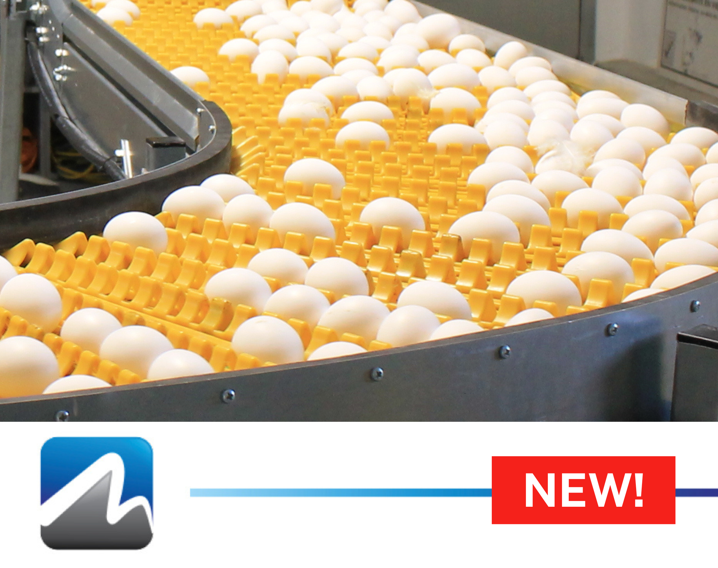 Egg flow system card.png